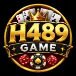 H489 Game